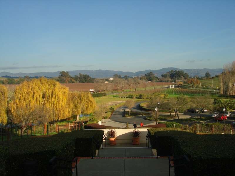Domaine Carneros, Napa Valley, CA USA