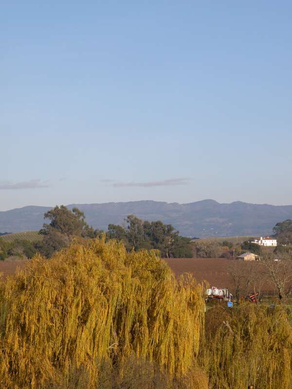 Domaine Carneros, Napa Valley, CA USA