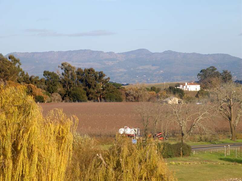 Domaine Carneros, Napa Valley, CA USA