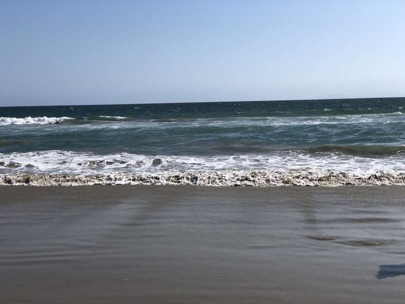 Huntington State Beach