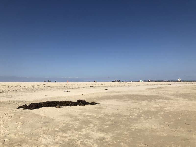 Huntington State Beach