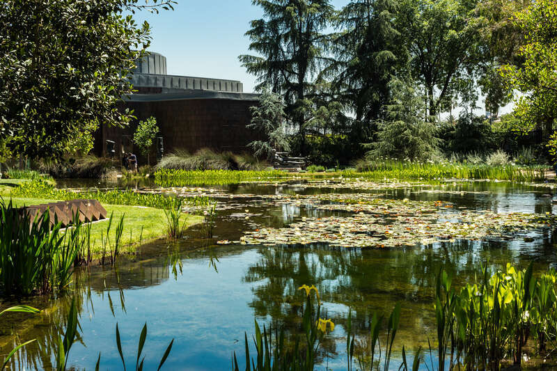 500px provided description: Lily pond in the Sculpture Garden of the Norton Simon Museum in Pasadena, California [#landscape ,#water ,#reflection ,#outdoor ,#outside ,#urban ,#california ,#pond ,#lilies ,#pasadena ,#USA]