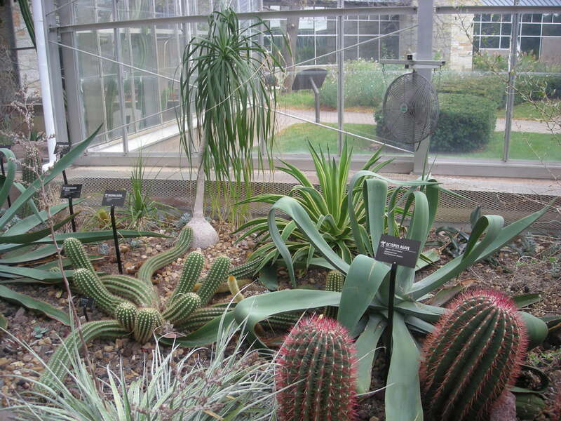 The interior of the Earl and Donnalee Holton Arid Garden at the Frederik Meijer Gardens &amp;amp; Sculpture Park in Grand Rapids Township, Michigan (United States).