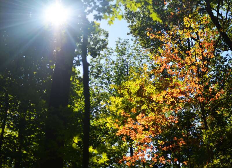 Mentor Marsh Nature Preserve