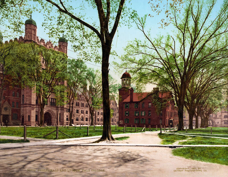 Photochrom print of Phelps Hall and Lyceum, Yale College (now Yale University), New Haven, Connecticut