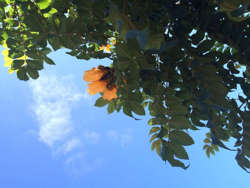 California, USA - September 2016

San Diego in September 2016