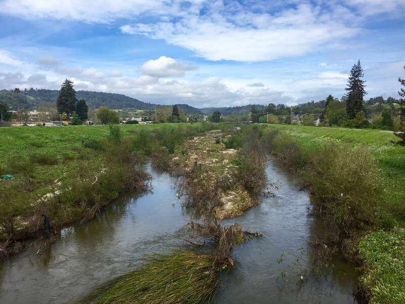 The San Lorenzo River after a late winter storm. Note the large amount of dirt and debris that was carried down from the Santa Cruz Mountains.