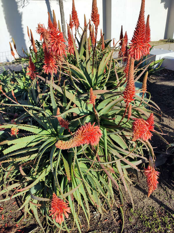 Santa Barbara, United States.