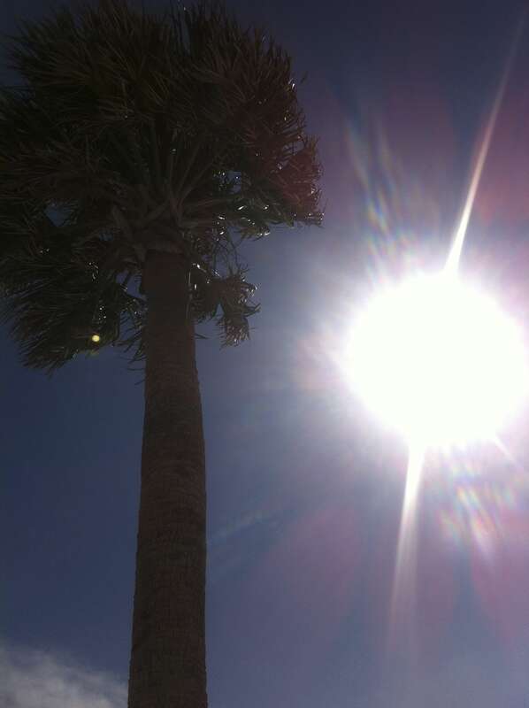 Siesta Key Public Beach