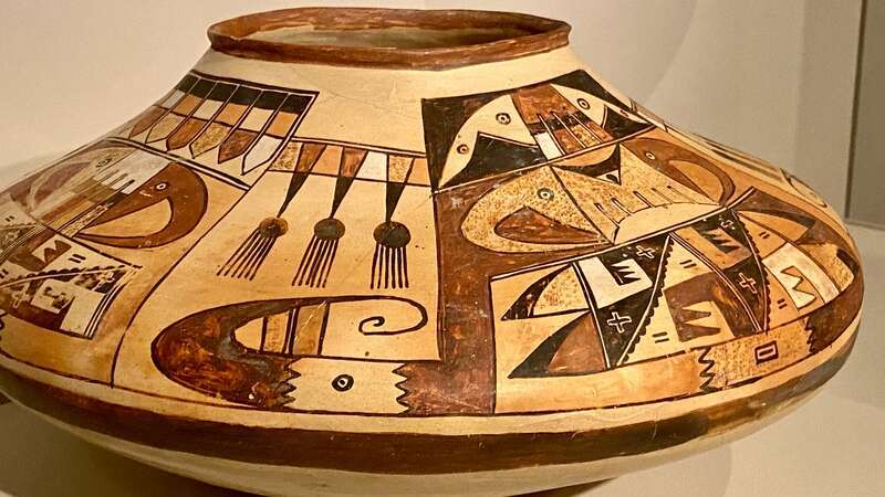 موزه د یانگ، سانفرانسیسکو