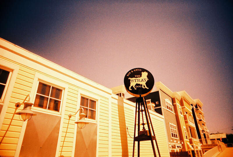 The Stray Dog restaurant, New Buffalo, Michigan.