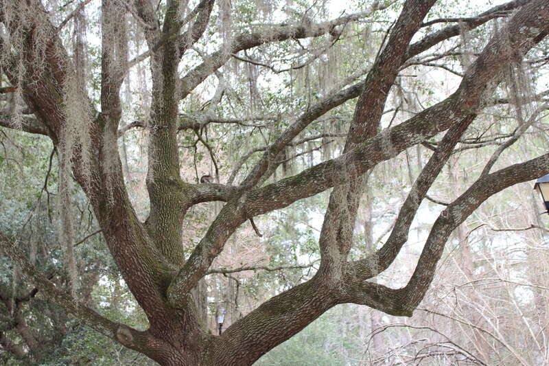 Drexel Park, Valdosta, Lowndes County, Georgia