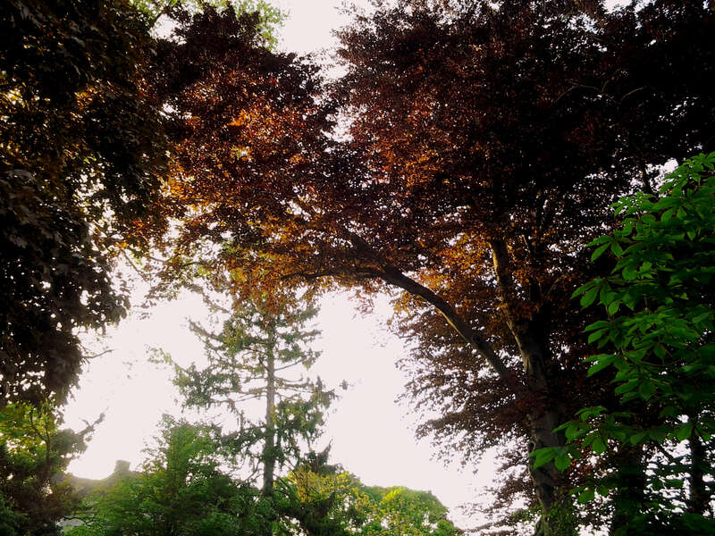 Fisher Hill, Brookline, MA 02445, USA