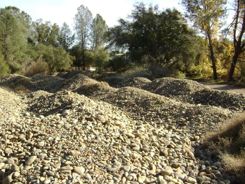 Gold dredge tailings