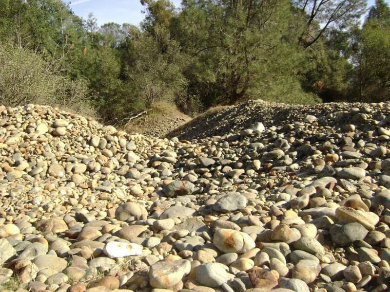 Gold dredge tailings