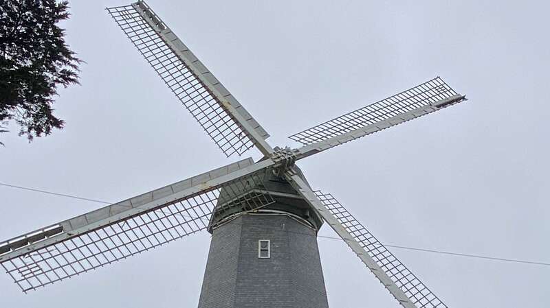 Golden Gate Park, San Francisco