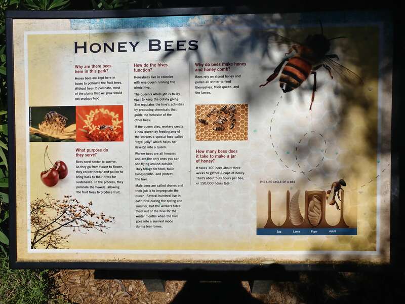 A panel within Heritage Park in Mountain View, California, displaying information about honey bees.