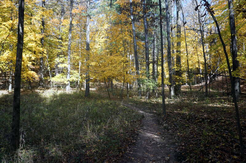 The Holy Hill Segment of the Ice Age Trail in Hubertus, Wisconsin (United States).