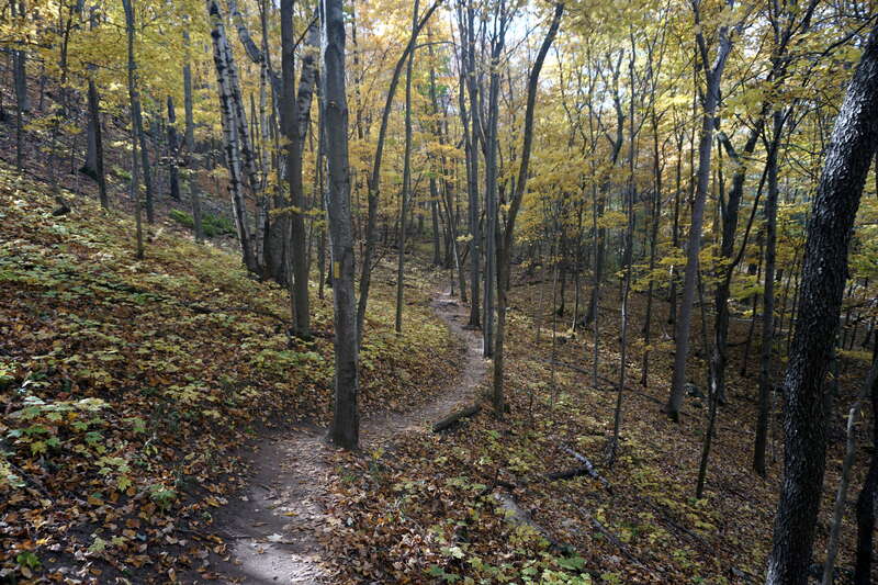 The Holy Hill Segment of the Ice Age Trail in Hubertus, Wisconsin (United States).