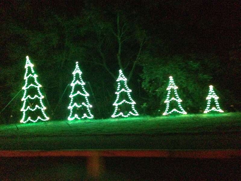 Lights in Vasona