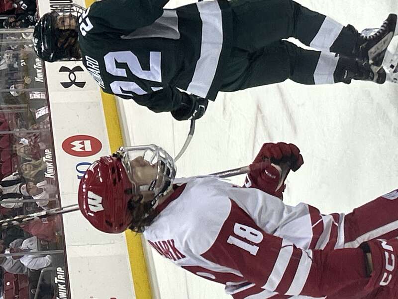 Michigan State Spartans at Wisconsin Badgers men's ice hockey (December 7, 2024)