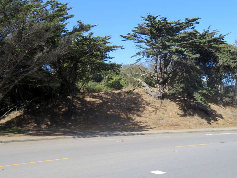 A former Park and Ocean Railroad embankment in Golden Gate Park in September 2019