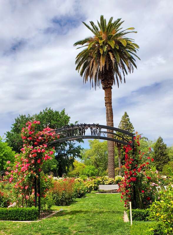 McKinley Park, Sacramento