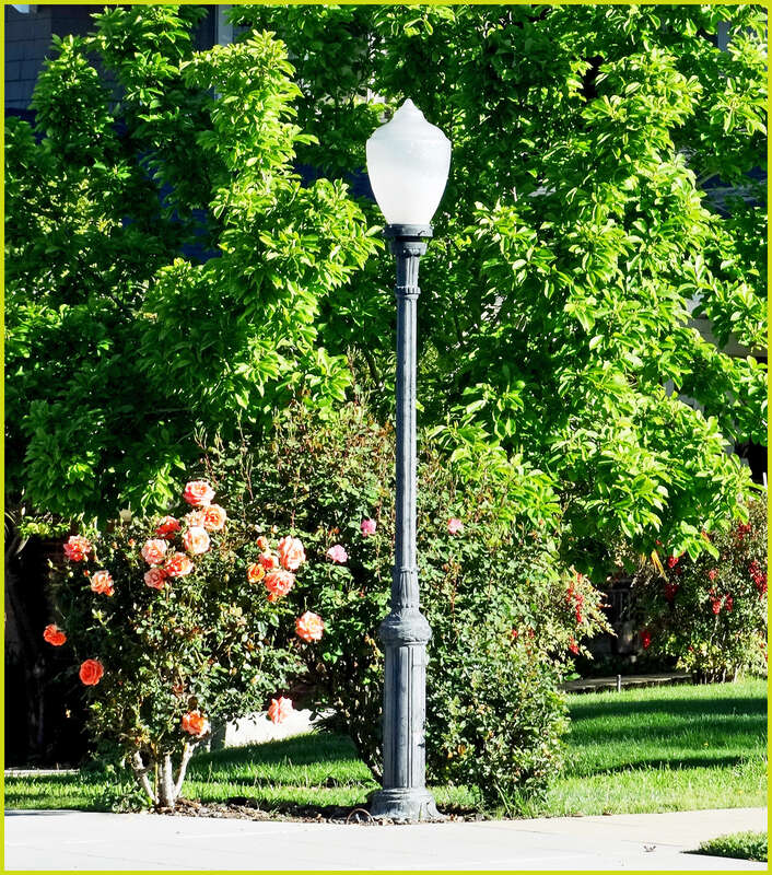 (1 in a multiple picture set)
I drive by this corner a couple times every day and admire the street lamp next to the rose bush.  Finally, I stopped to take a picture.
