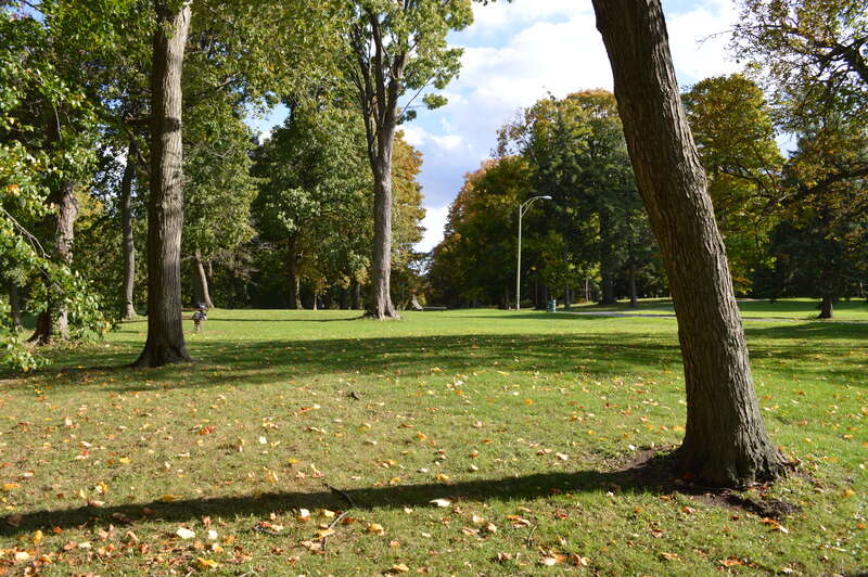 Thornden Park