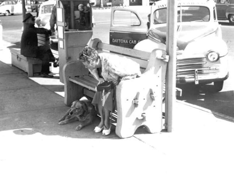 Local call number: rc13757 


Title: Tourist with &quot;Brownie&quot; the town dog: Daytona Beach, Florida



Date: 195-. 



Physical descrip: 1 photoprint: b&amp;amp;w; 8 x 10 in. 



Series Title: (Reference collection.)



Repository: