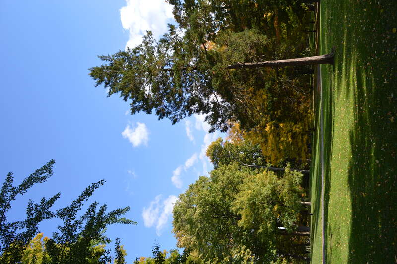 Westcott, Syracuse, NY 13210, USA