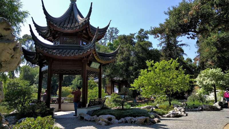 The Desert Garden here is world-famous and far exceeds every expectation. Not only are the specimens massive and rare, but they are arranged with an exceptional eye for composition. The Chinese Garden is overwhelming in its beauty, size and