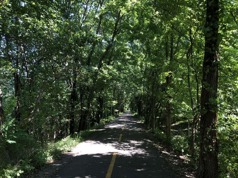 View east along the Washington and Old Dominion Trail between North Hatcher Avenue and North Maple Avenue in Purcellville, Loudoun County, Virginia