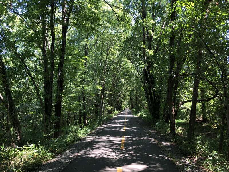 View east along the Washington and Old Dominion Trail between North Hatcher Avenue and North Maple Avenue in Purcellville, Loudoun County, Virginia