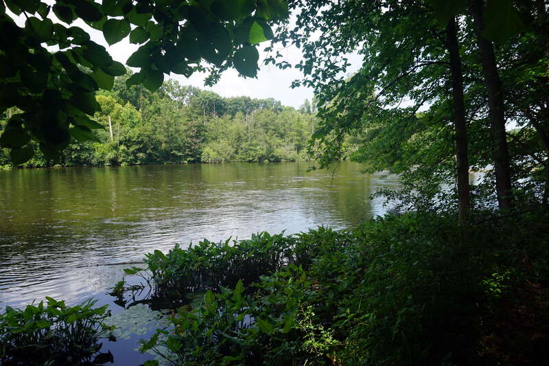 The Huron River in Ann Arbor, Michigan (United States).