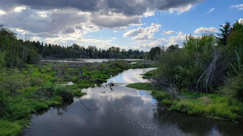 View from SW 253rd Drive bridge