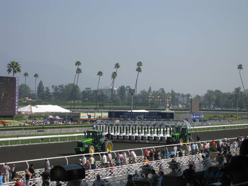 Effortlessly uploaded by Eye-Fi

Breeders' Cup 2009