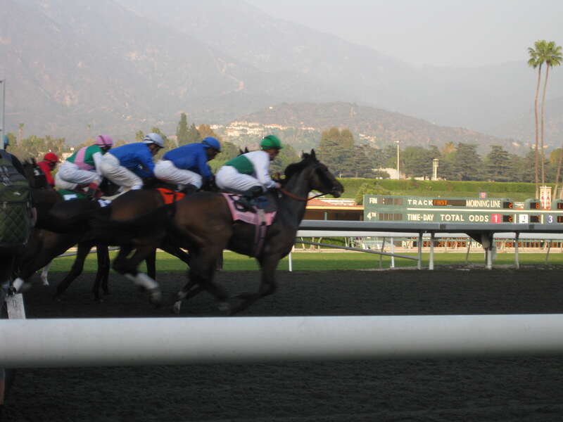 Effortlessly uploaded by Eye-Fi

Breeders' Cup 2009