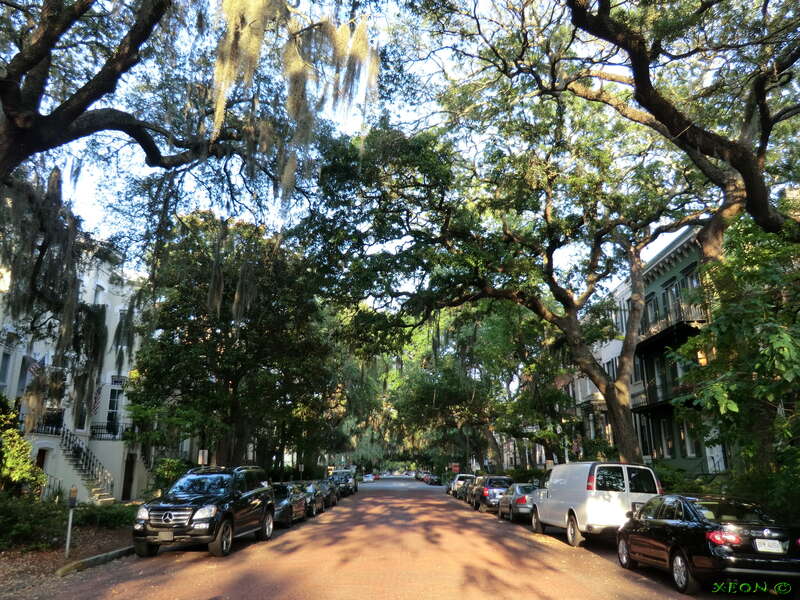 City Of Savannah