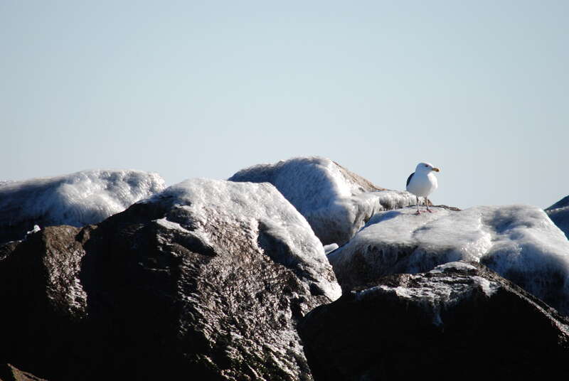 Dam Neck, Virginia Beach, VA, USA