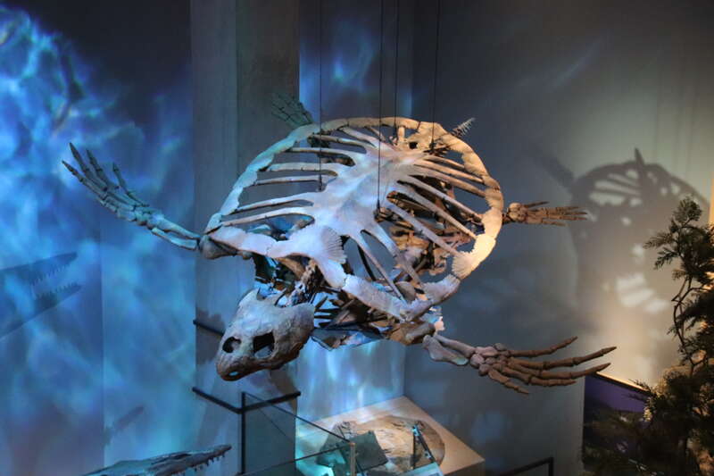 Perot Museum of Nature and Science, Dallas, Texas. Complete indexed photo collection at WorldHistoryPics.com.