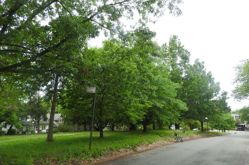 Looking northwest on a cloudy day