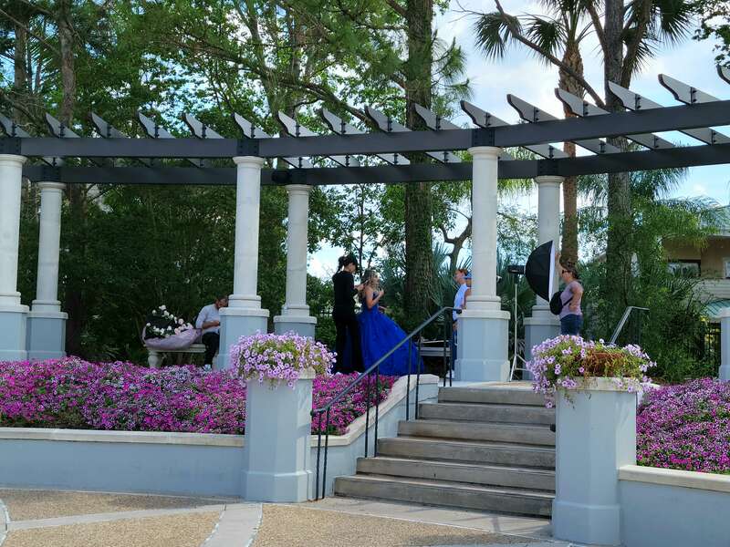 Hollis Garden is a public botanical garden in Lakeland, Florida.