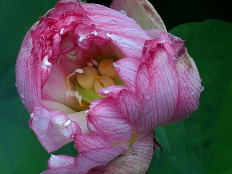 Maker:L,Date:2017-8-13,Ver:5,Lens:Kan03,Act:Kan02,E-Y