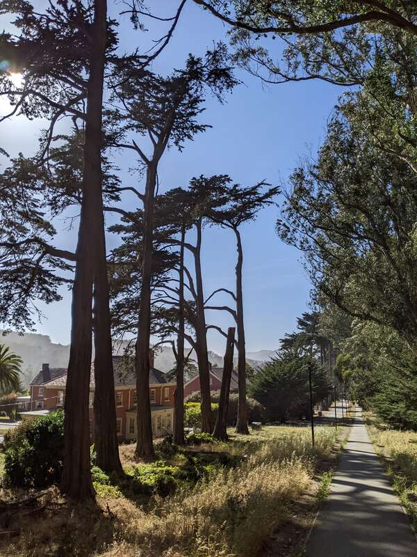 &quot;The oldest footpath through the Presidio, Lovers’ Lane was established in the 18th century as a shortcut used by Spanish soldiers and missionaries to get from the Main Post to Mission Dolores, located three miles south of the Presidio. Today, you’ll