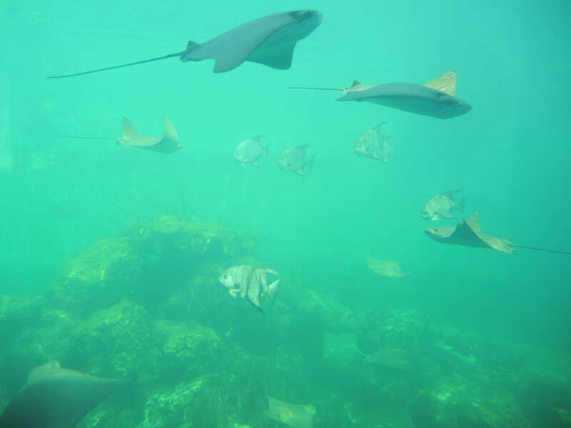 Miami Seaquarium: aquarium