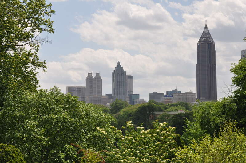 Midtown Sky Line view from Atlanta Botanical Garden