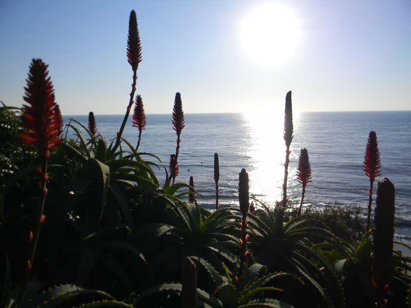 Orange County, CA, USA