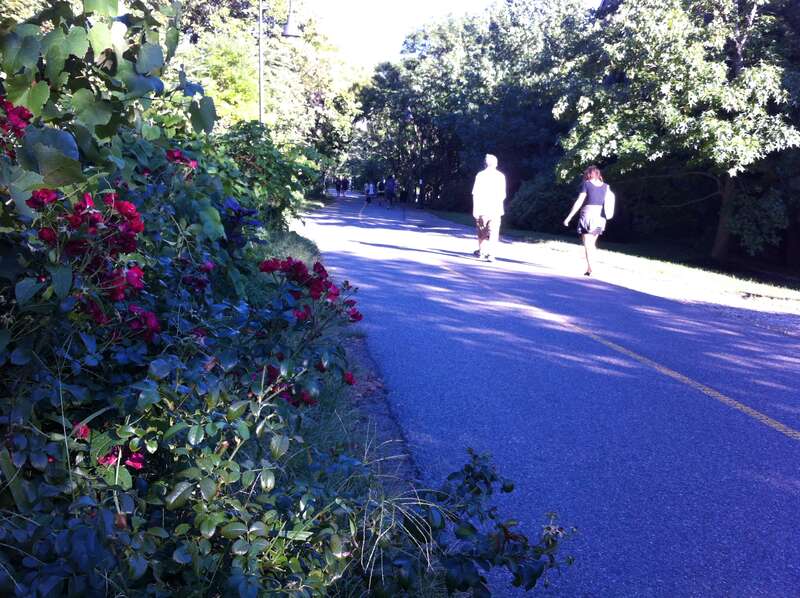 Powder House Square, Somerville, MA, USA