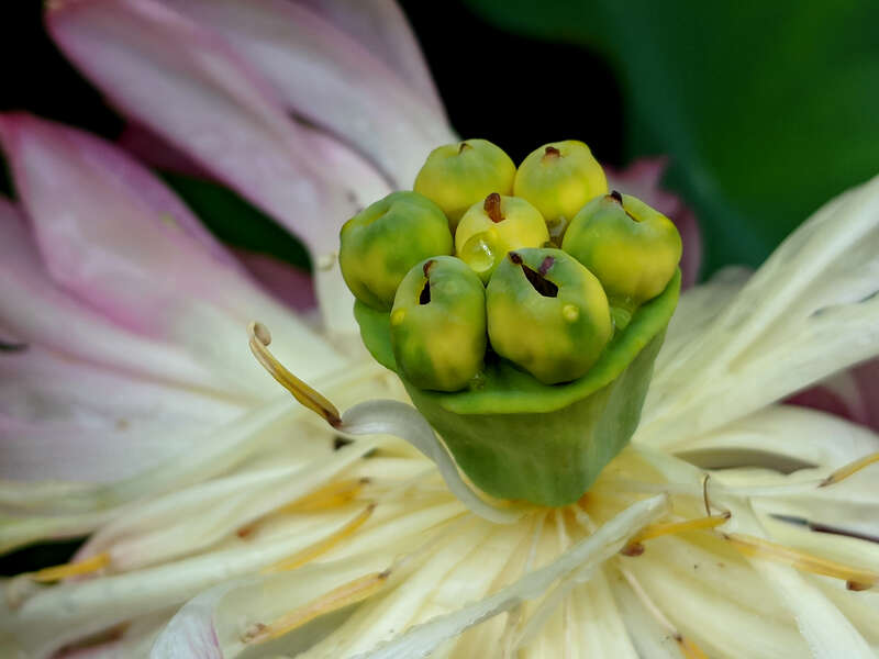 Maker:L,Date:2017-8-13,Ver:5,Lens:Kan03,Act:Kan02,E-Y